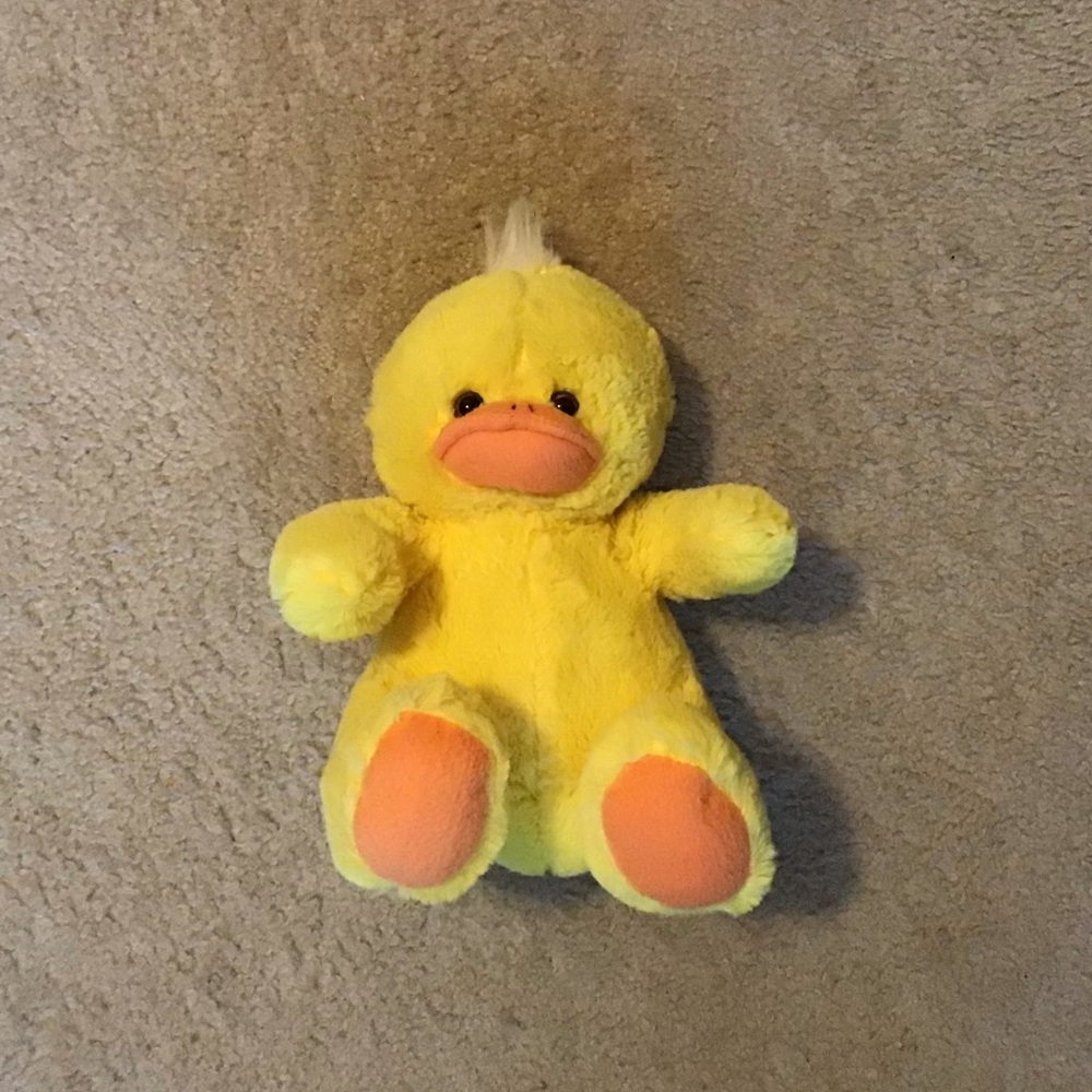 Stuffed Duck